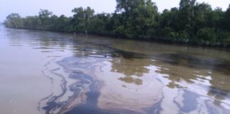 Despite Opposition, Work on Controversial Rampal Power Project Continues