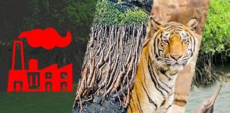 Open letter: Protect Sundarbans from coal-fired power plants
