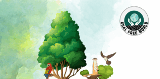 international Biodiversity Day 2025