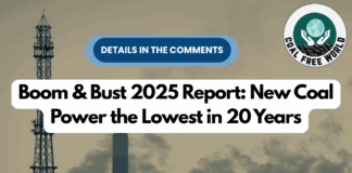 Boom & Bust 2025 Report: New Coal Power the Lowest in 20 Years