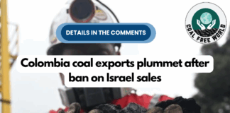 Colombia coal exports plummet after ban on Israel sales