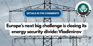 Europe’s next big challenge is closing its energy security divide: Vladimirov