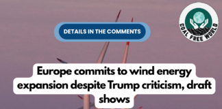 Europe commits to wind energy expansion despite Trump criticism, draft shows