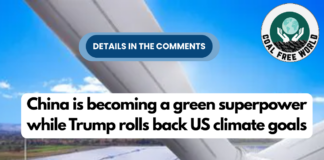 China is becoming a green superpower while Trump rolls back US climate goals