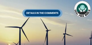 Wind And Solar Overtake Fossil Fuels In EU Power Mix In 2025