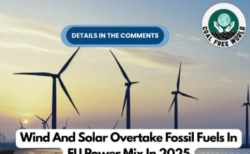 Wind And Solar Overtake Fossil Fuels In EU Power Mix In 2025