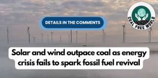 Solar and wind outpace coal as energy crisis fails to spark fossil fuel revival