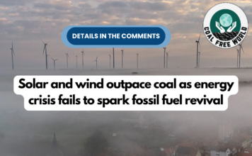 Solar and wind outpace coal as energy crisis fails to spark fossil fuel revival